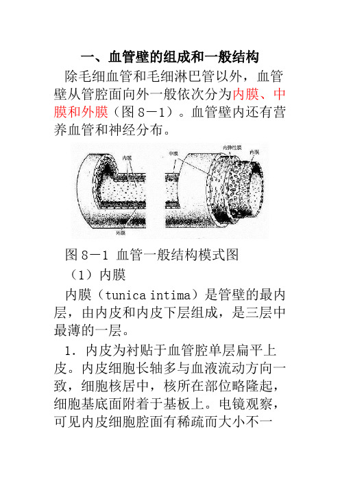 血管