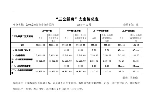 三公经费支出情况表