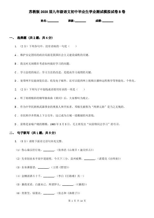 苏教版2020届九年级语文初中毕业生学业测试模拟试卷B卷