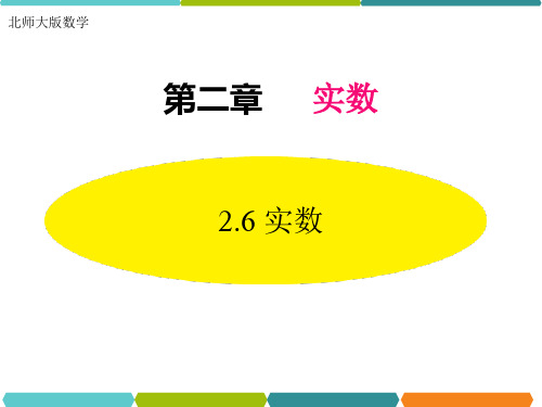 北师大版数学八年级上册第二章实数