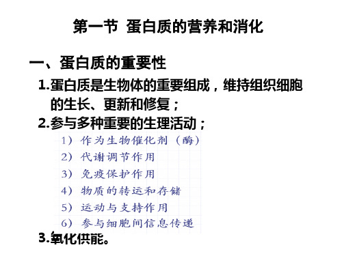 蛋白质代谢ppt课件