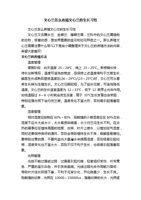 文心兰怎么养殖文心兰的生长习性