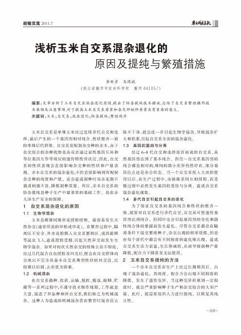 浅析玉米自交系混杂退化的原因及提纯与繁殖措施