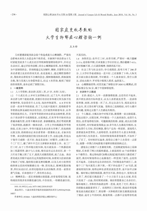 因家庭变故导致的大学生抑郁症心理咨询一例