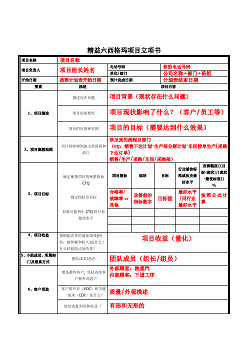 精益六西格玛项目立项书模板