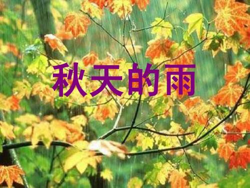 11《秋天的雨》