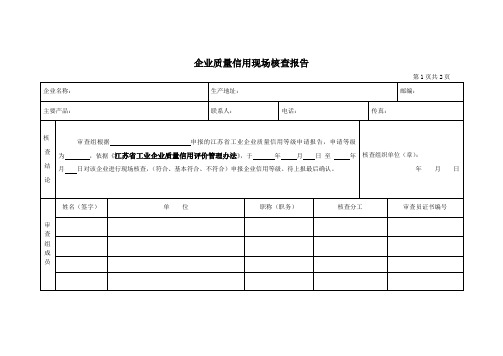 企业质量信用现场核查报告_2