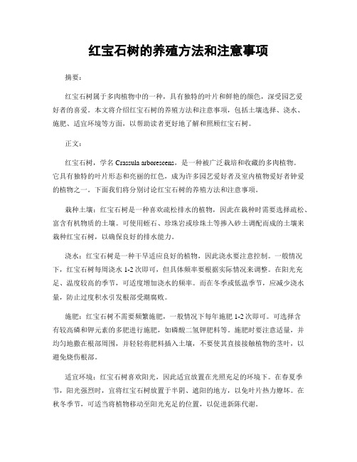 红宝石树的养殖方法和注意事项