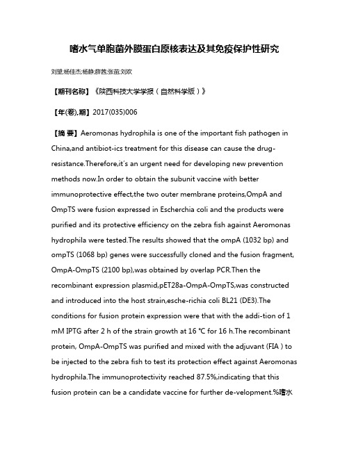 嗜水气单胞菌外膜蛋白原核表达及其免疫保护性研究