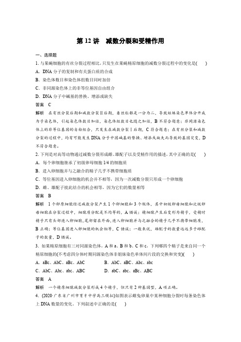 课时作业1：减数分裂和受精作用