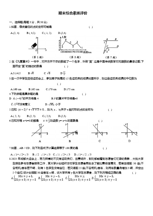 期末综合素质评价 2024-2025学年北师大版八年级数学上册