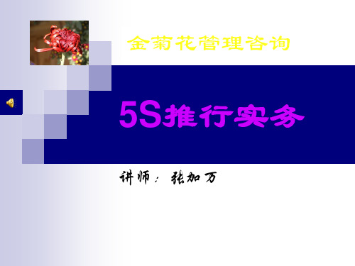 5S管理实务(PPT110页)