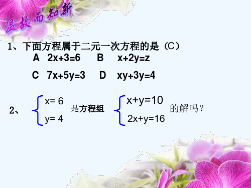 人教版消元——解二元一次方程组(10)