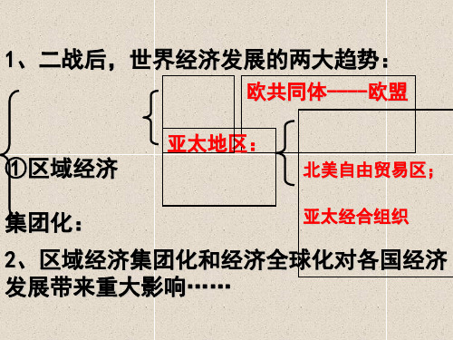 《当今世界经济区域集团化的发展》课件(人民版)