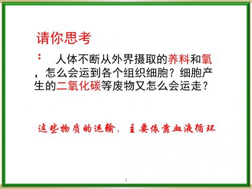 济南版生物七年级下册第三章循环系统复习