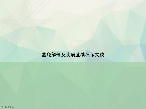 盆底解剖及疾病基础演示文稿讲课文档