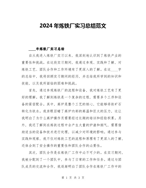 2024年炼铁厂实习总结范文