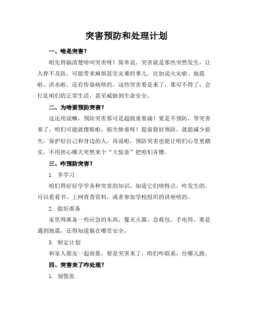 突害预防和处理计划