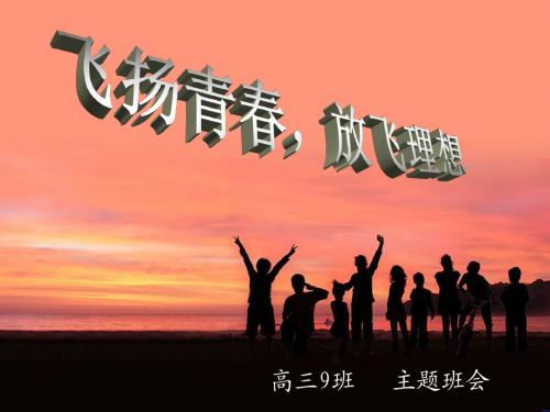 放飞理想主题班会