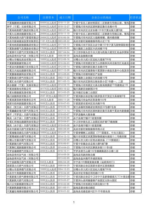 2019年度宁夏省燃气生产和供应公司404家