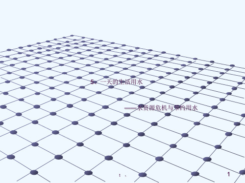 一天的生活用水(科学)ppt课件