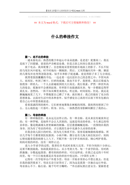 【优质文档】什么的牵挂作文-精选word文档 (9页)