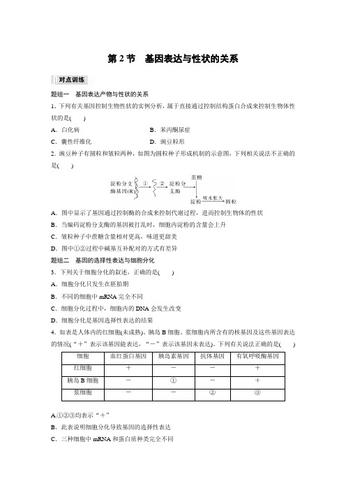 高中生物必修二 练透试卷 第4章 第2节 基因表达与性状的关系