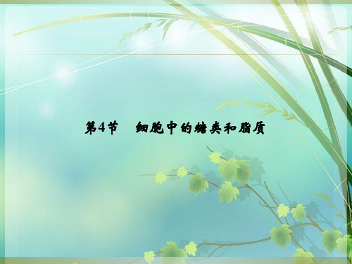 人教版高中生物必修一 第二章第4节细胞中的糖类和脂质 (共45张) PPT课件 图文