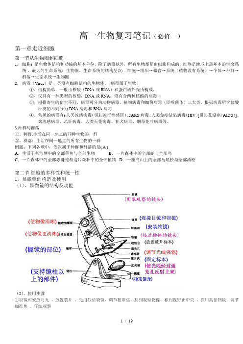 高一生物复习笔记(完整新版必修一)