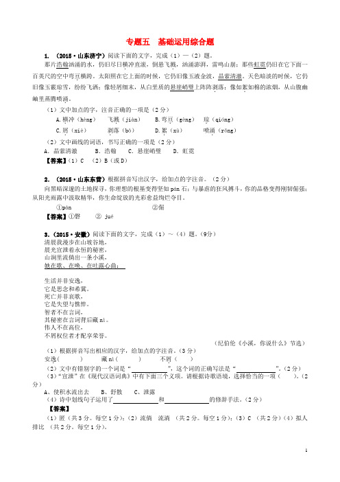 2015_2016学年度中考语文语言文字积累专题复习5基础运用综合题