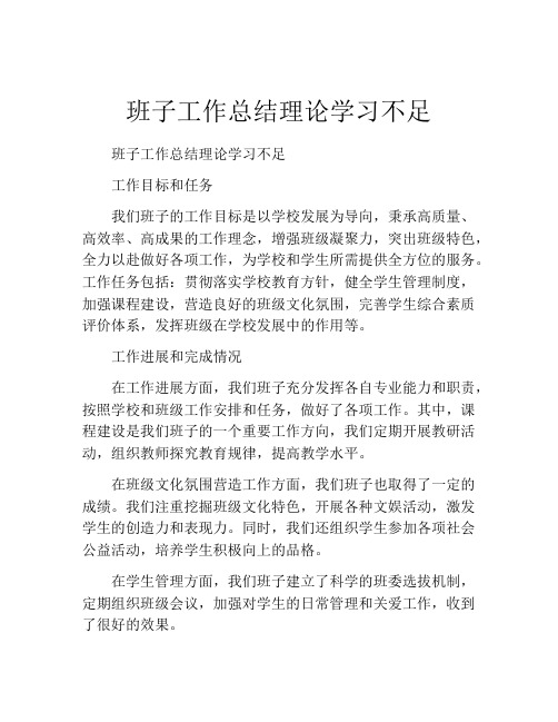 班子工作总结理论学习不足