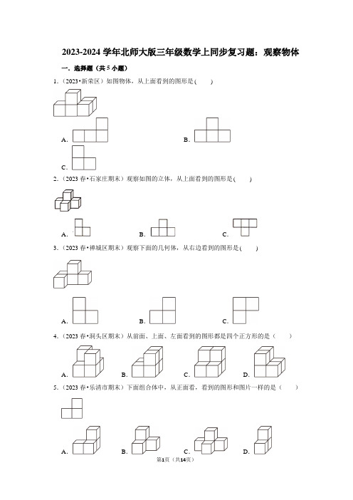 2023-2024学年北师大版三年级数学上同步复习题：观察物体(附答案解析)