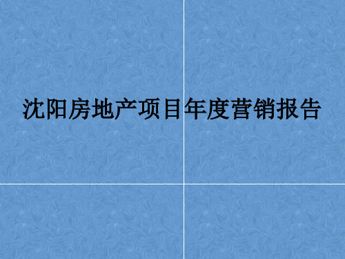 沈阳房地产项目年度营销报告