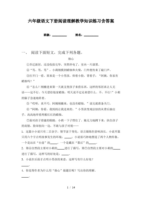 六年级语文下册阅读理解教学知识练习含答案