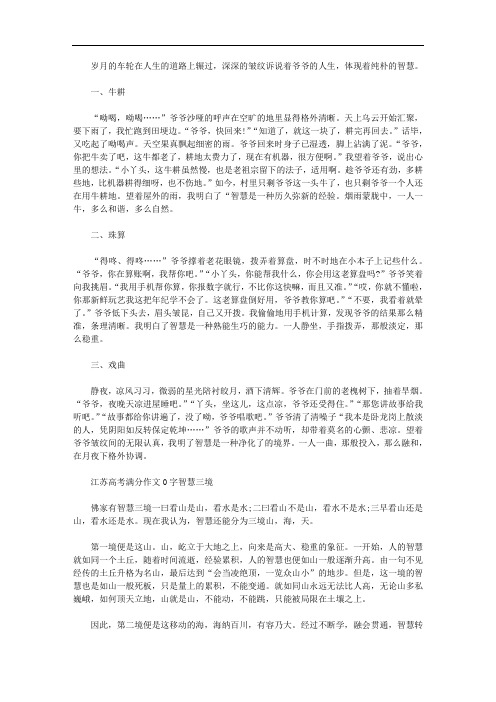 江苏高考作文题目应该怎么写,如何立意点评分析800字