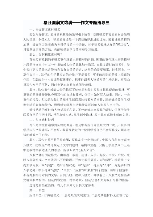 作文专题指导二 猪肚圆满文饱满