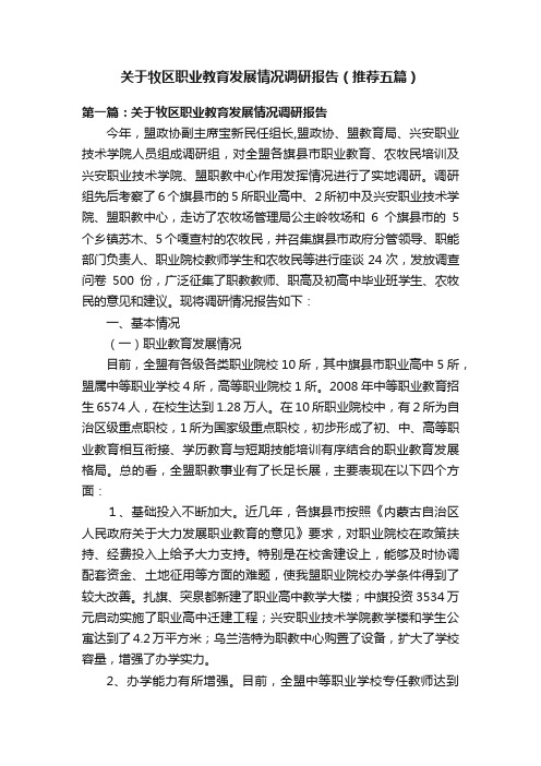 关于牧区职业教育发展情况调研报告（推荐五篇）