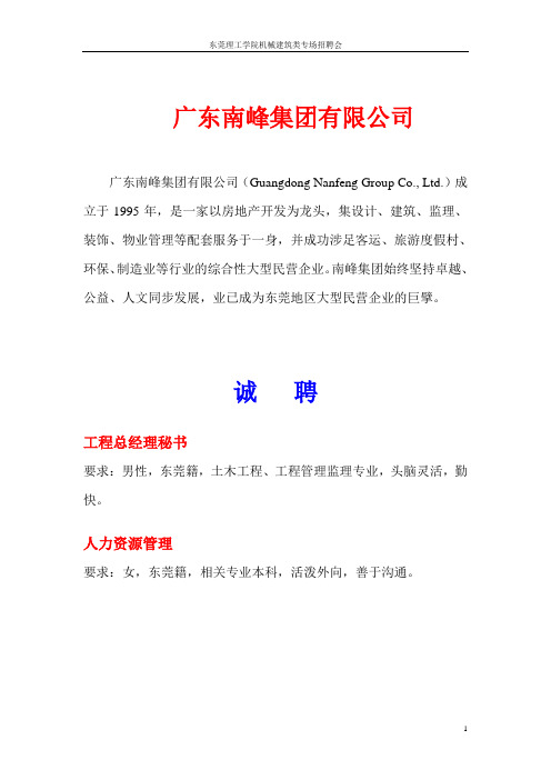 广东南峰集团有限公司