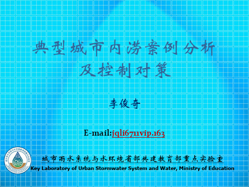 典型城市内涝事件及其控制对策分析-精选文档
