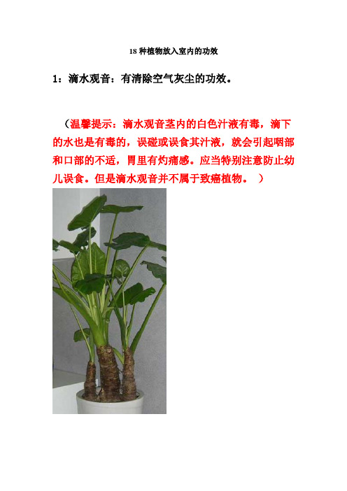 18种植物放入室内的功效