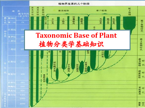 省竞赛辅导植物分类(1)