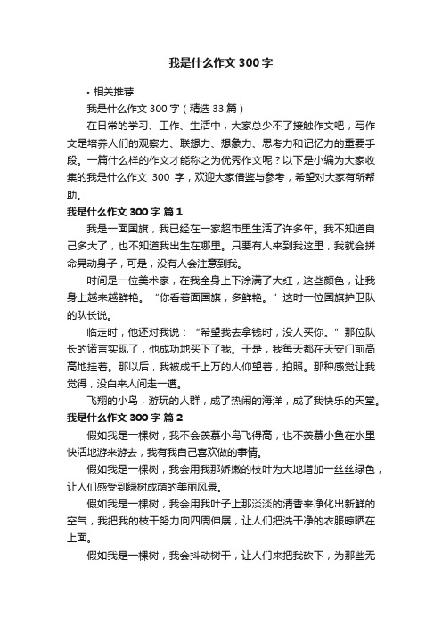 我是什么作文300字