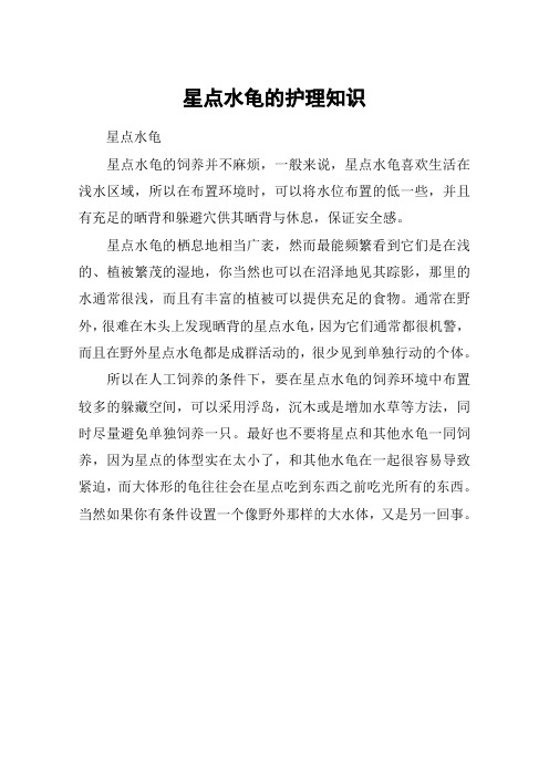 星点水龟的护理知识