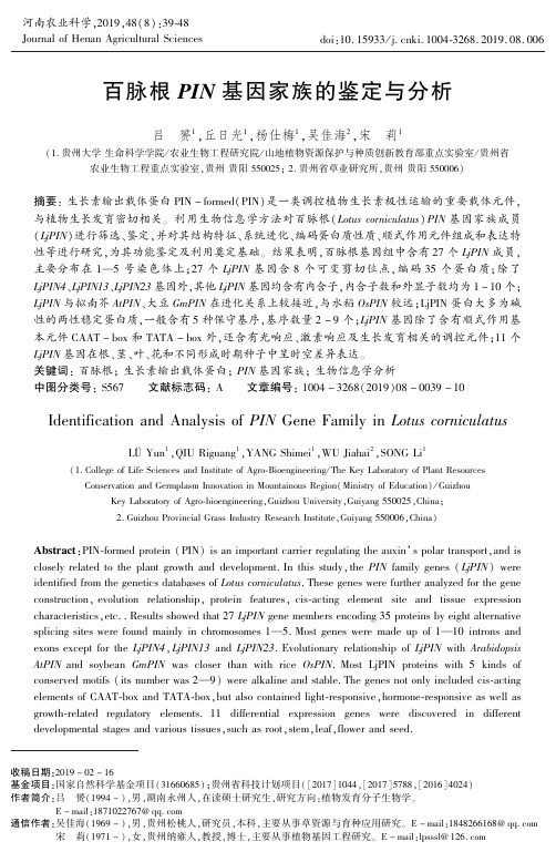 百脉根PIN基因家族的鉴定与分析