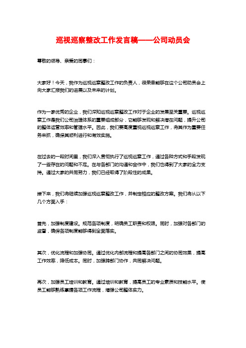 巡视巡察整改工作发言稿——公司动员会