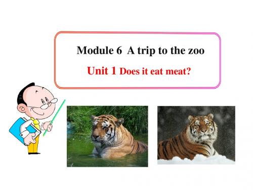 外研版初中七年级上册英语Module6 A trip to the zoo Unit1 Does it eat meat (2)