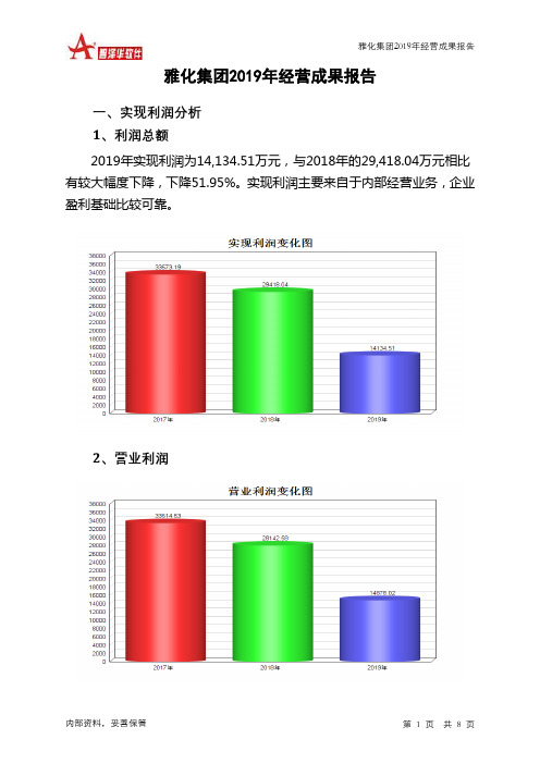 雅化集团2019年经营成果报告