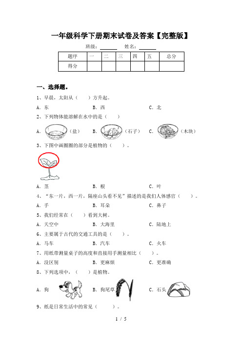 一年级科学下册期末试卷及答案【完整版】