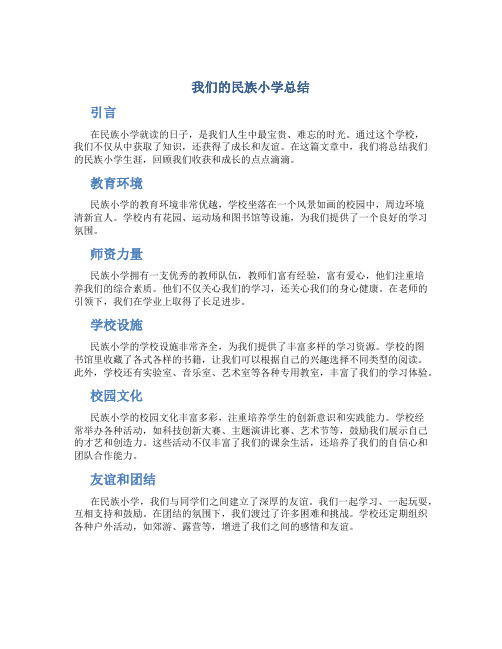 我们的民族小学总结