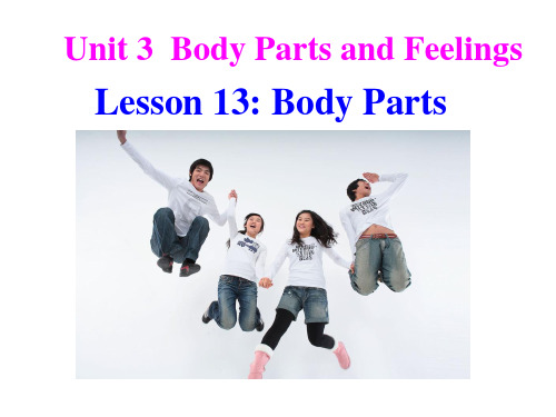 冀教版七年级英语上册 Unit 3 Lesson 13 Body Parts(共23张PPT)